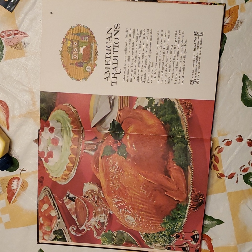 2/$12 🐔 1967 Favorite Ways with Chicken, Turkey, Duck, and Game Birds vintage - Picture 5 of 12